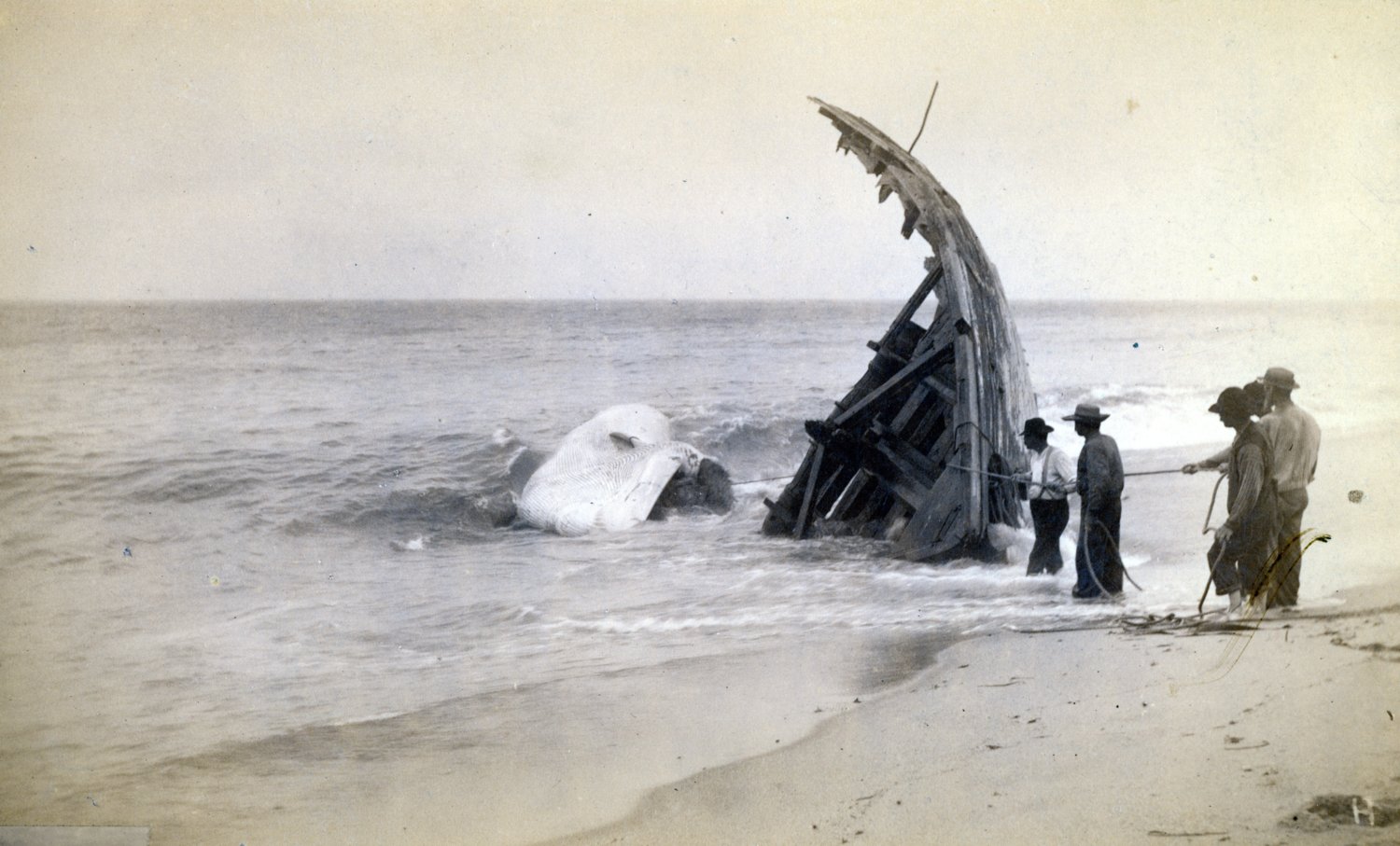 The remains of the cargo schooner Warren Sawyer after running aground on the south shore in December 1884.