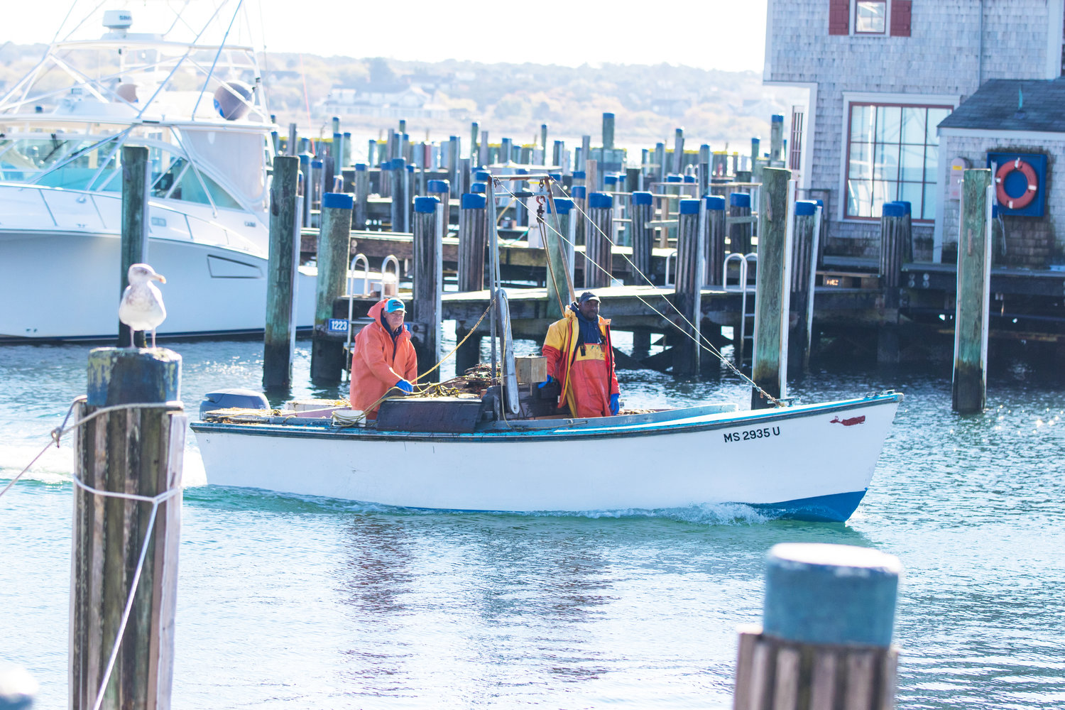 Scallopers return to the dock on the second day of commercial scalloping season last November.