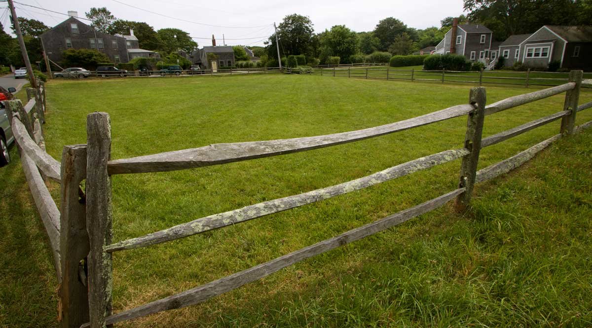 The Nantucket Historical Association's Eleanor Ham Pony Field.