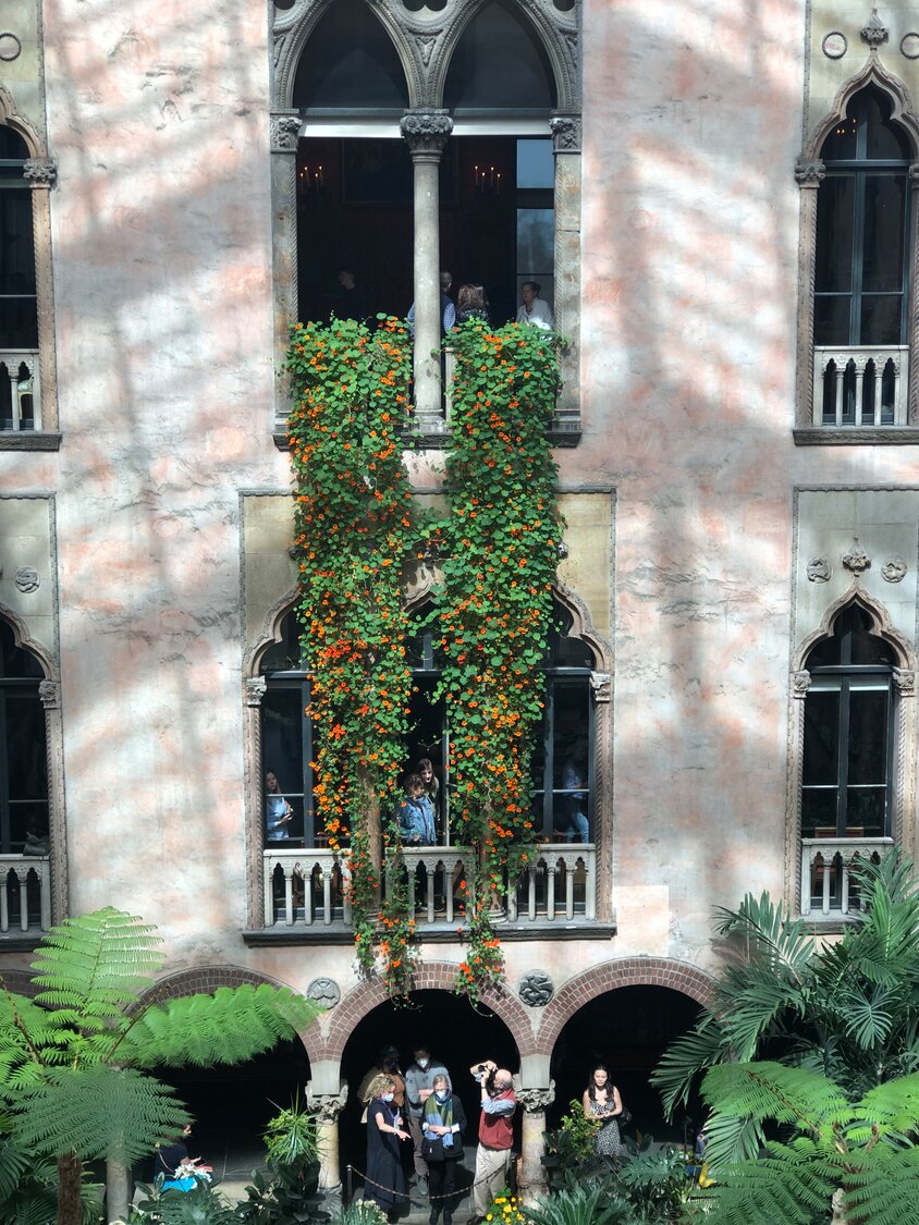 Nasturtiums cascade down into the garden courtyard at the Isabella Stewart Gardner Museum in Boston.