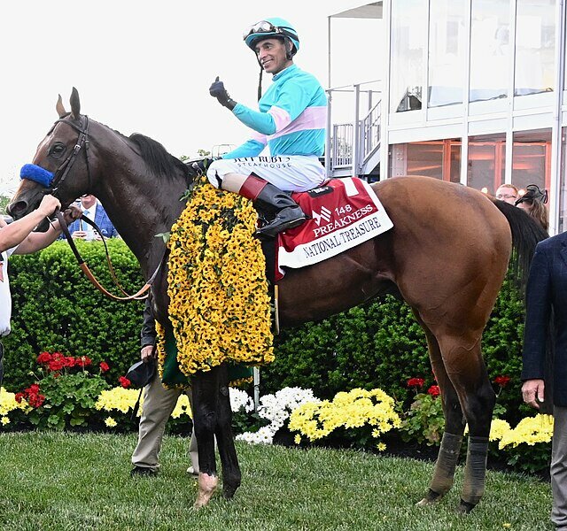 Preakness Stakes winner National Treasure is owned in part by a group of Nantucket summer residents headed by Sol Kumin.