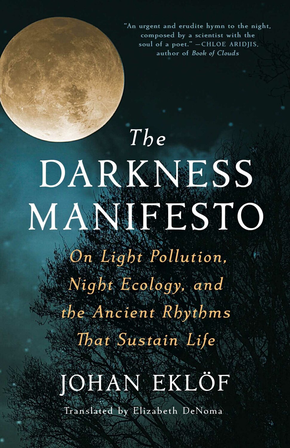 "The Darkness Manifesto"