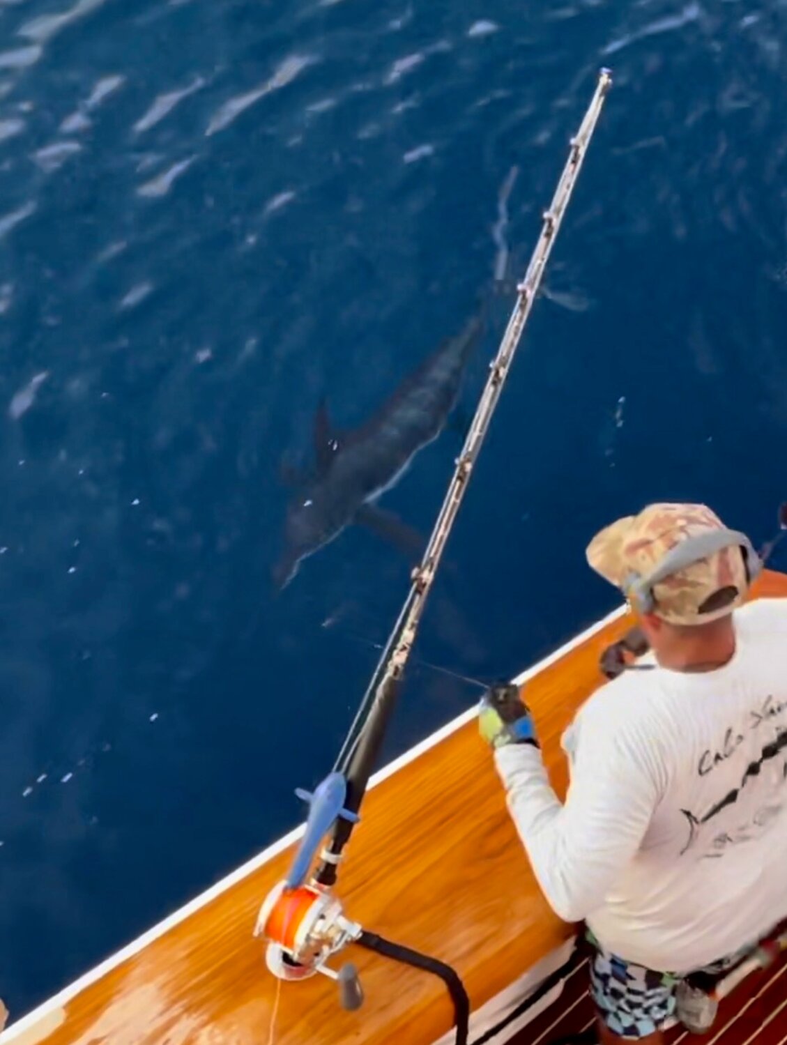 Stalking a white marlin south of Nantucket.