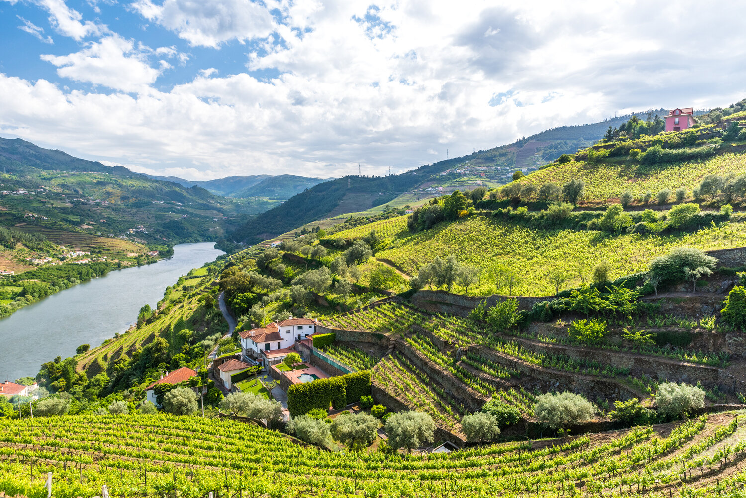 The Douro region, very close to Spain, produces large, dry red wines with intense, concentrated flavors.