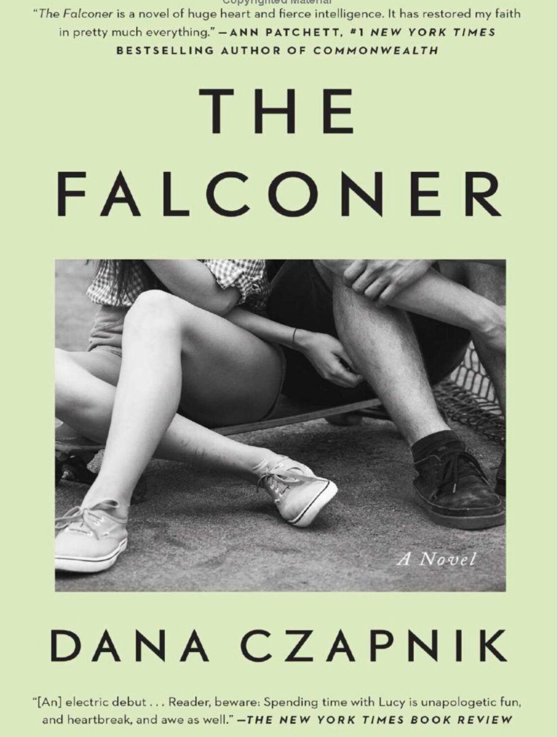 "The Falconer" by Dana Czapnik