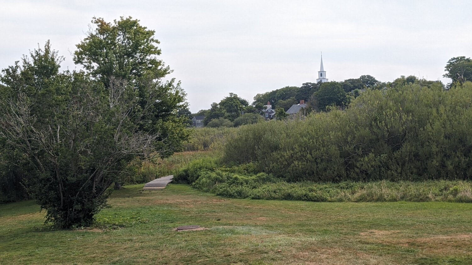 Lily Pond Park has a trail system of paths and boardwalks that lead through the property of low wetlands that once connected the pond to Nantucket Harbor.