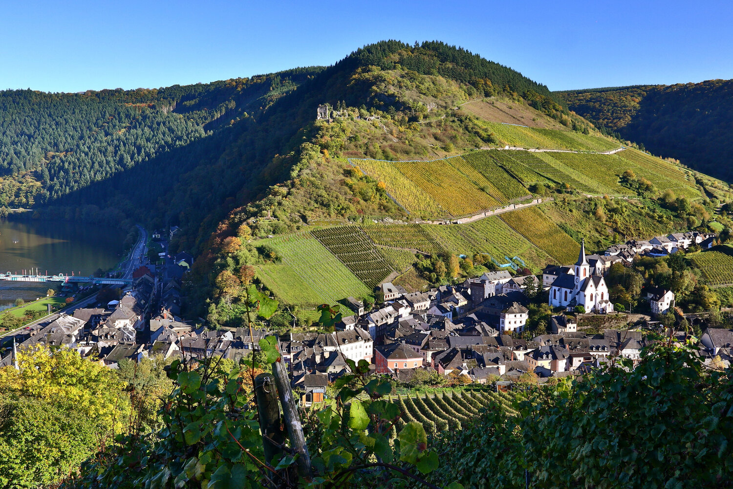 Vineyards fan out across the hills of Traben-Trarbach in the Mosel Valley near Germany’s western border.