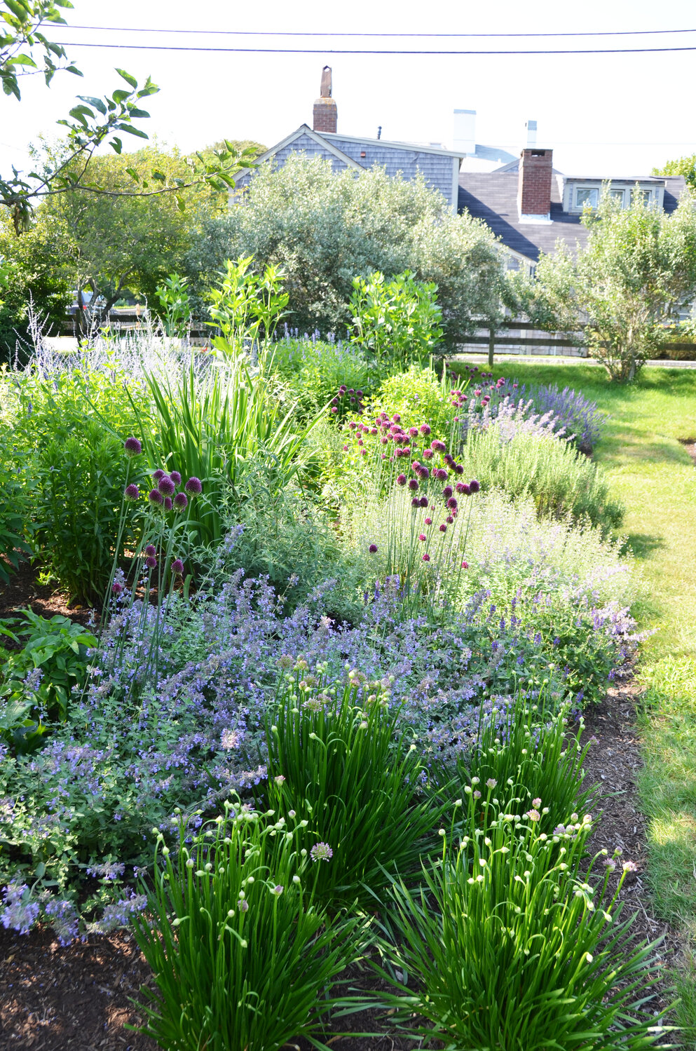 The Nantucket Land Bank’s Garden of the Sea at 14 and 16 Candle House Lane.