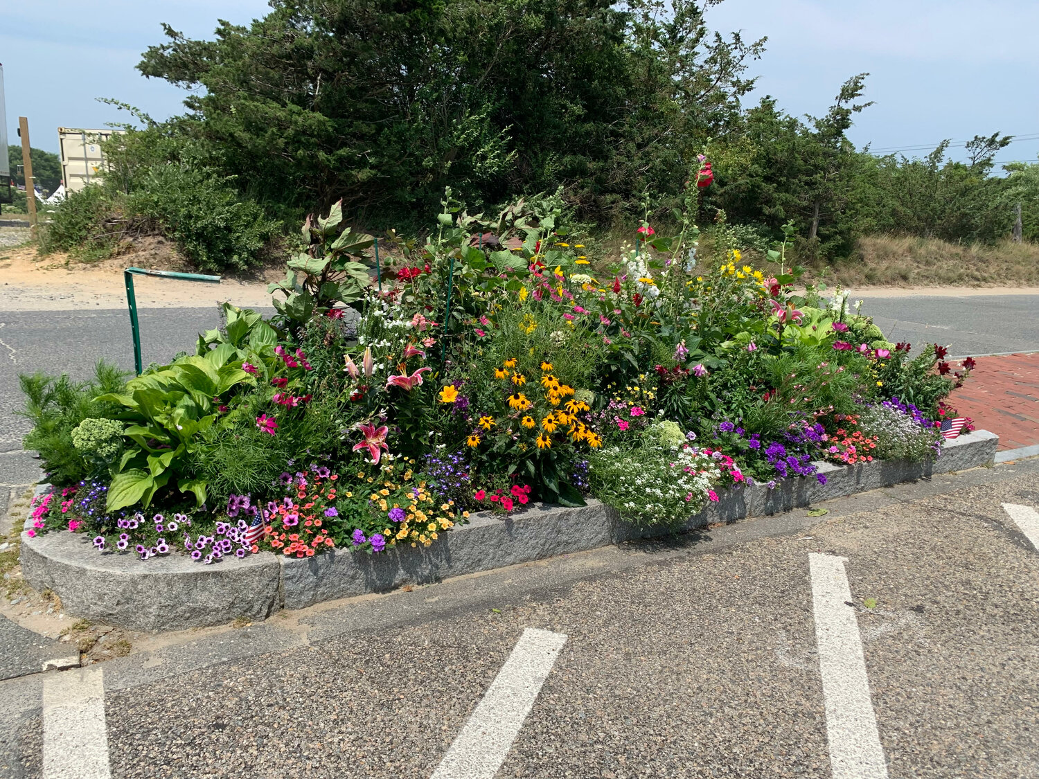 Menuka Thapa has livened up the parking lot of the Sanford Boat Building by planting colorful flowers in its concrete islands.