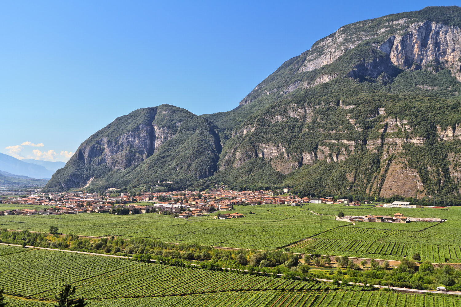 The village of Mezzolombardo.
