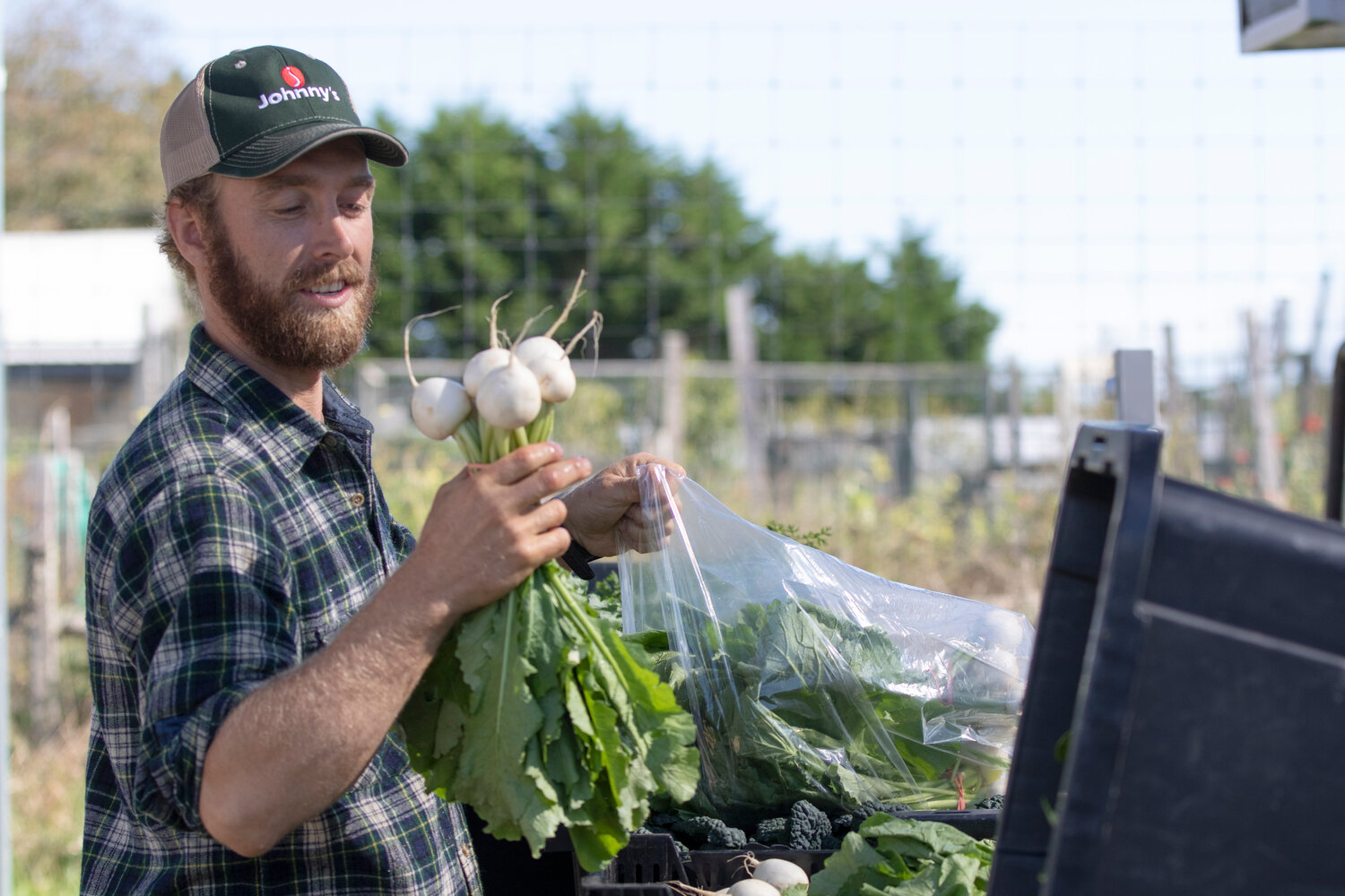 Aidan Feeney, owner of Fog Town Farm, is hoping to use the new commercial kitchens being installed at The Hive on Amelia Drive to turn some of his harvest into salsas, jellies and kimchi, shelf-stable products that will improve his bottom line.