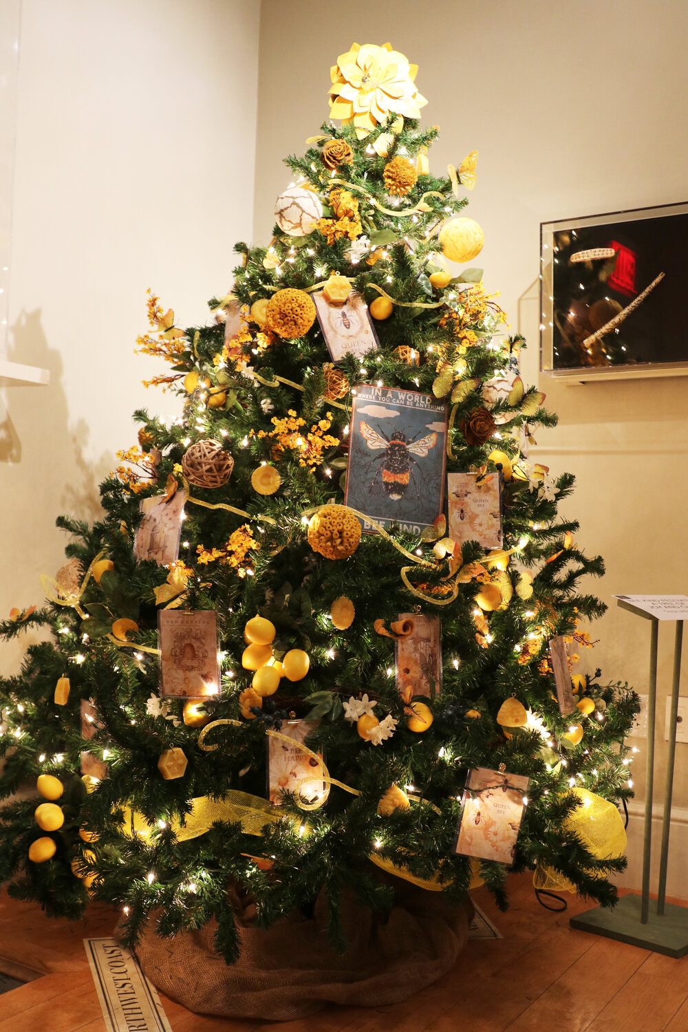 The Nantucket Historical Association’s annual Festival of Trees includes more than 75 trees decorated by businesses, community groups and residents on display at the Broad Street Whaling Museum.