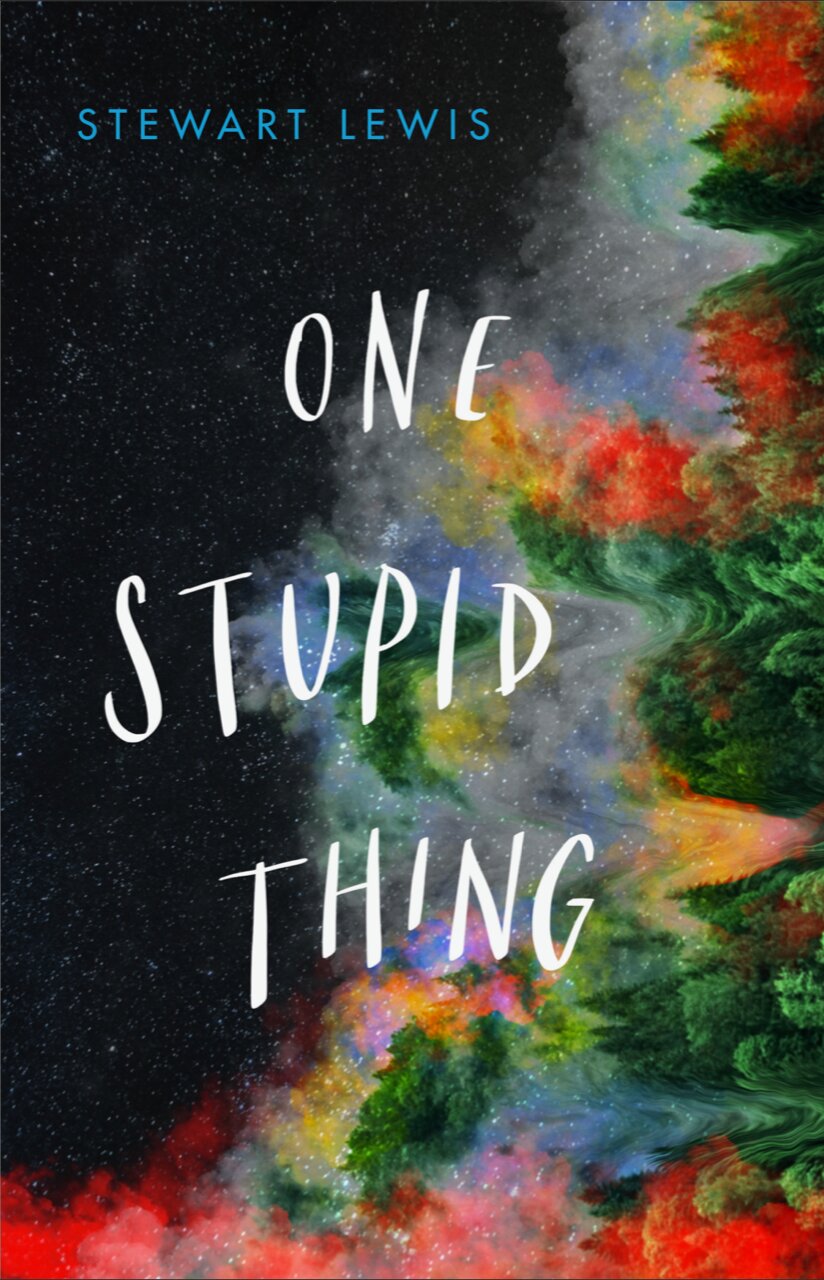 "One Stupid Thing" by Stewart Lewis