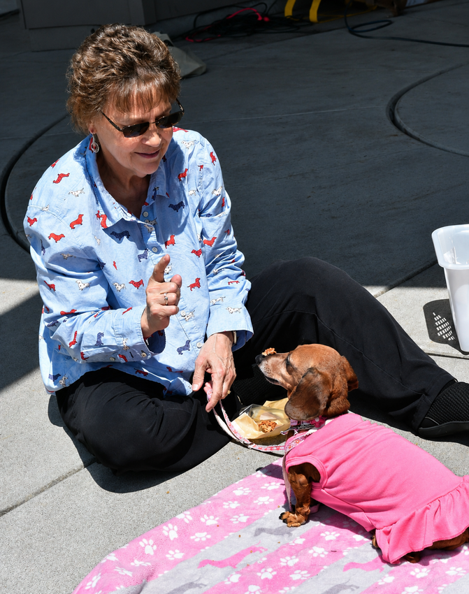 Great Mukilteo Dog Show draws 4-legged competitors