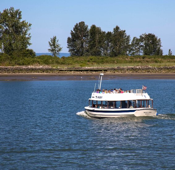 Ferry reservations to Jetty Island are now being accepted.