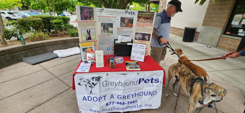 Greyhound Pets at Mill Creek Town Center. (Photo by Brian Soergel/Mill Creek Beacon)