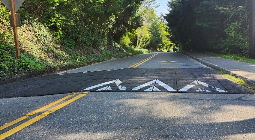 This speed bump is one of four that will be permanent on Olympic View Drive. (Photo by Brian Soergel/Edmonds Beacon)