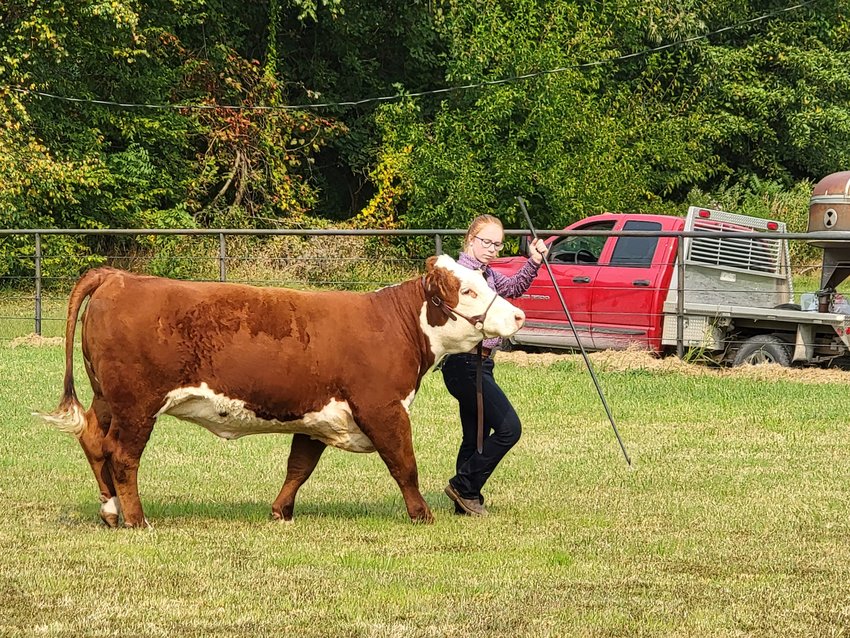 Pictured here, Bolivar FFA member Mary Grace Warden keeps her eye on the prize.