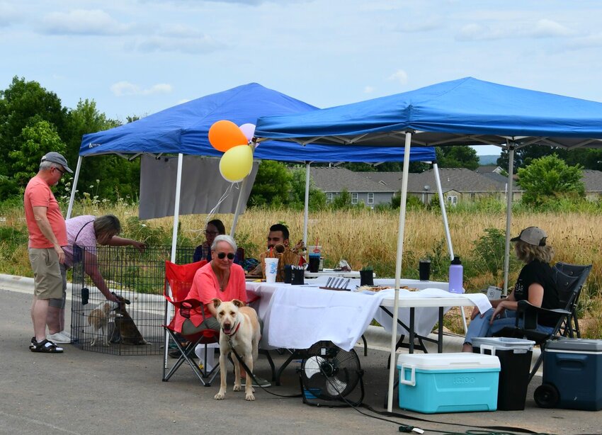 Saturday, July 1, provided a little cloud cover for the puppies at Summit Park. Stellar Real Estate and Polk County Humane Society partnered to show off some new homes as well as some pups looking for their forever home.   STAFF PHOTO/LINDA SIMMONS