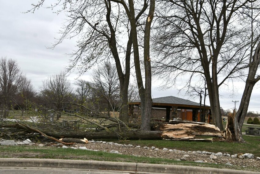 This large tree located at John Playter Park, split and fell.


STAFF PHOTOS/LINDA SIMMONS
