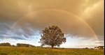 Tim Erickson captured this photo of a rainbow shining brightly on his Polk County farm following a fall storm.