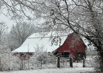 The BH-FP is excited to announce the winner of this month’s photo contest, Lanita Henderson. As the spring season emerges, her photo is (hopefully) a reminder of winter days past.