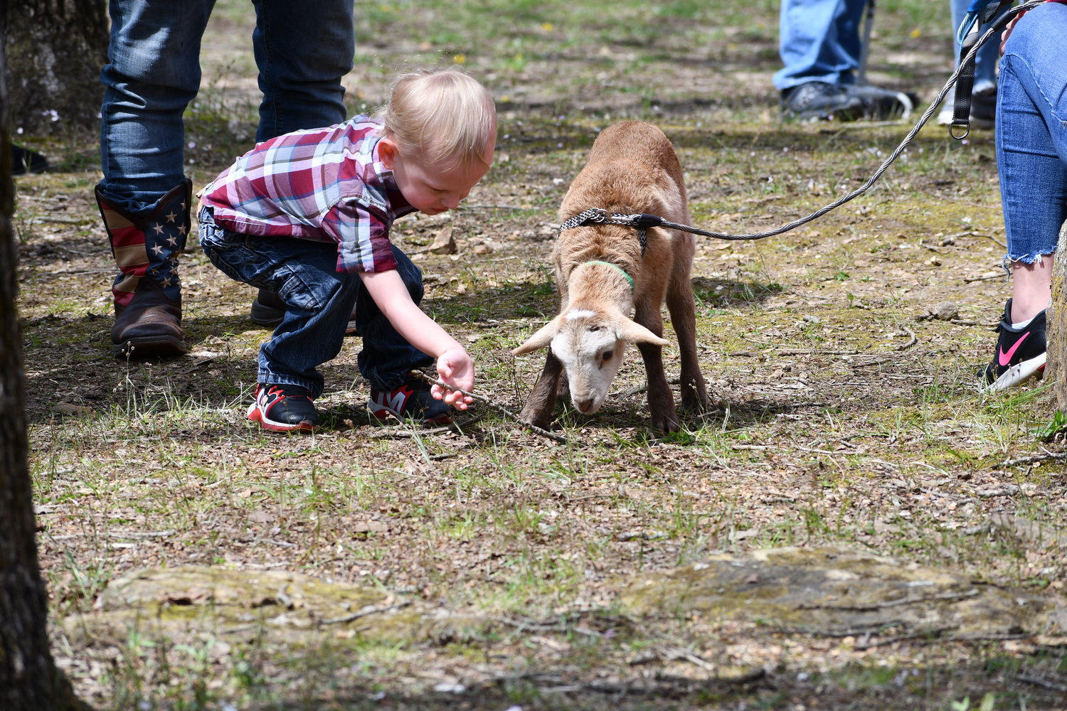 Tyler Collins doesn’t think the baby goat needs any eggs to munch on, but a good stick might work.