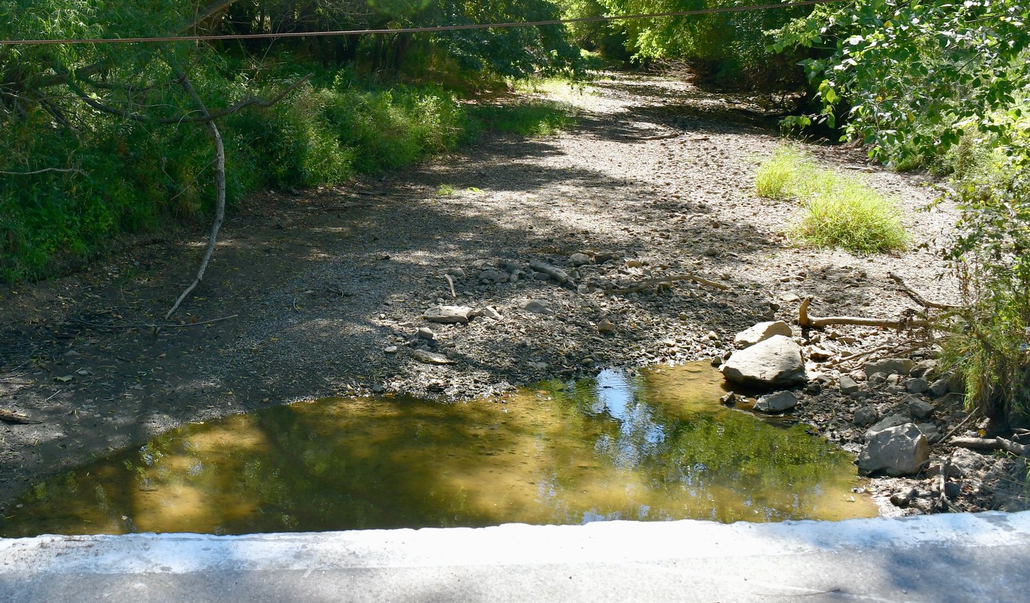 In late spring, Piper Creek was rolling over the bridge located on Mt. Gilead Road, now it is down to a very small puddle of water.