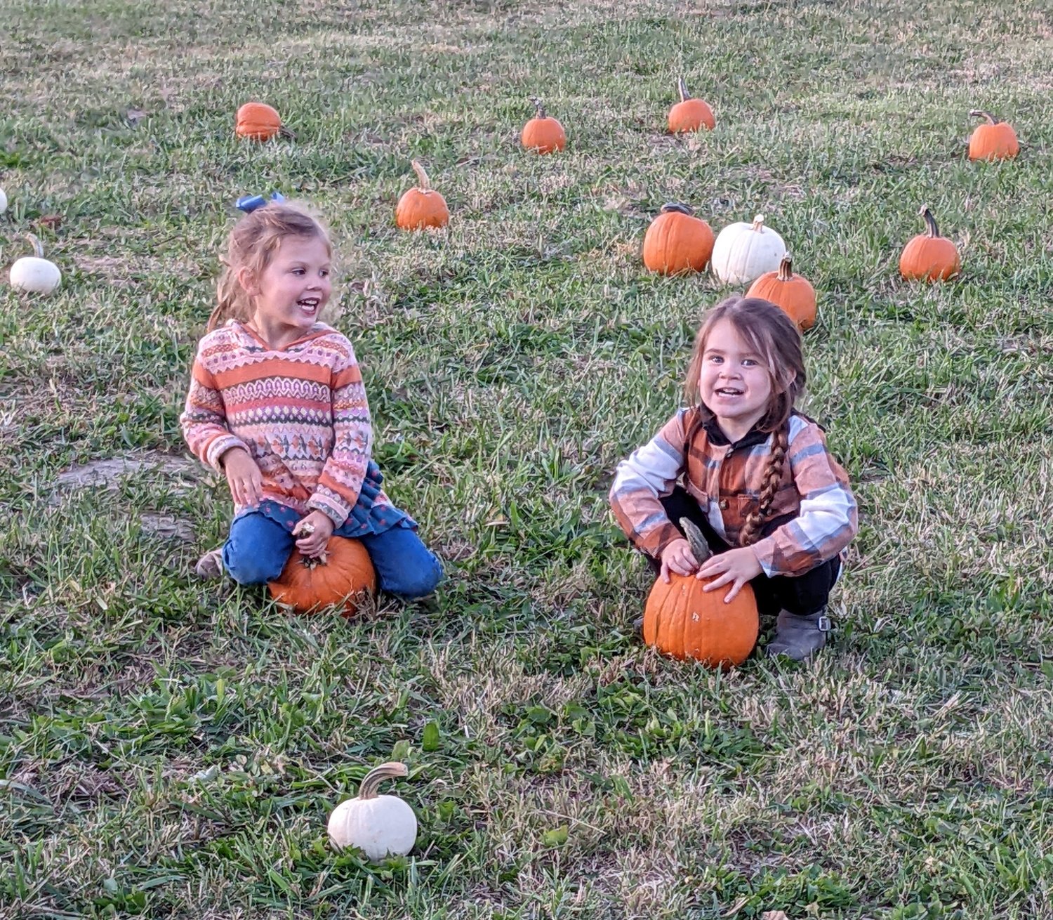 During their visit at 83 and Vine Farm, Gracie Swortwood and Harper Phillips excitedly claim their chosen pumpkins to take home.