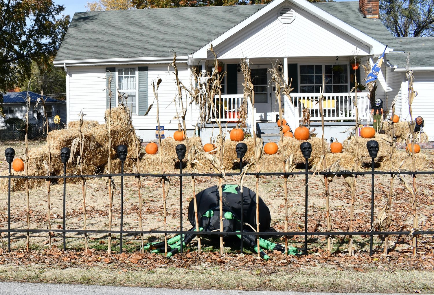 With decor and pumpkins galore, homeowners along Locust St. are getting into the spirit of the Halloween season.