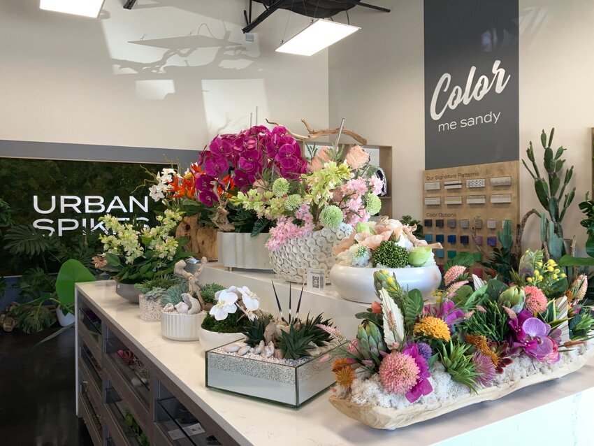 Urban Spikes provides a modern nature experience at their showroom at Alpha Road Plaza. Open weekdays until 4:30 p.m., the commercial and residential offers gifts and botanicals.