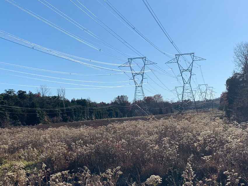 Powerlines that run across Linton Hall Road attracted data center developers.