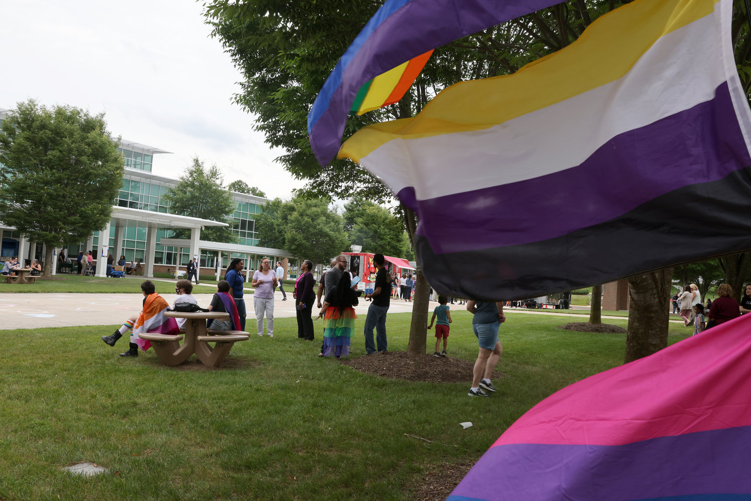 People enjoy the pride event on the lawn at the McCoart Building.