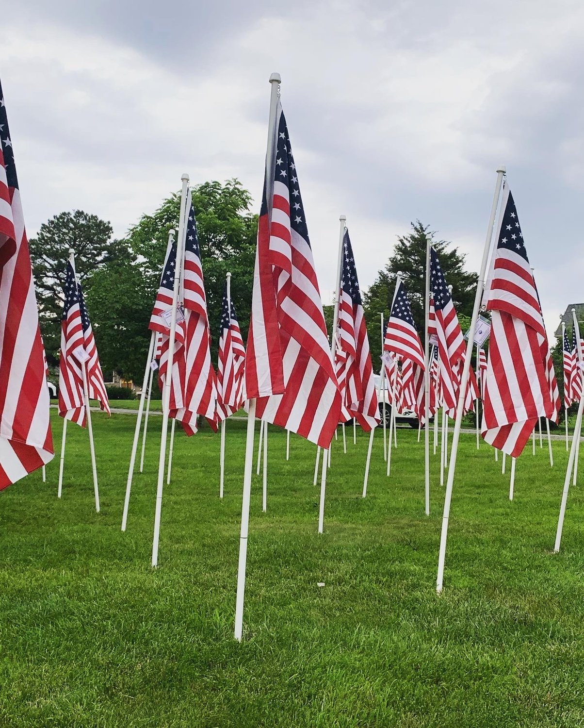 Flags fly at the Haymarket Community Park.