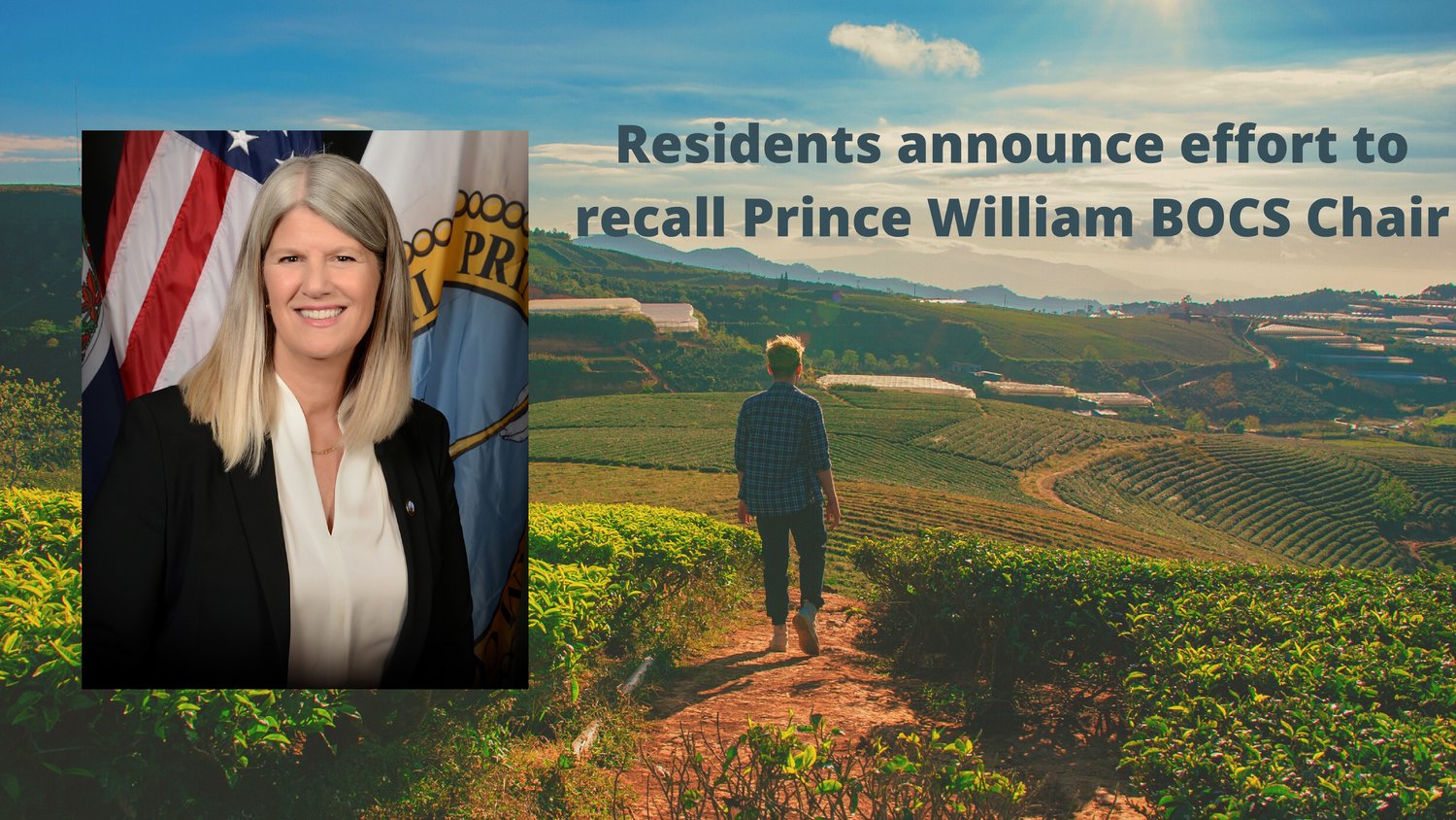 Chair Anne Wheeler (photo by Prince William County Government)