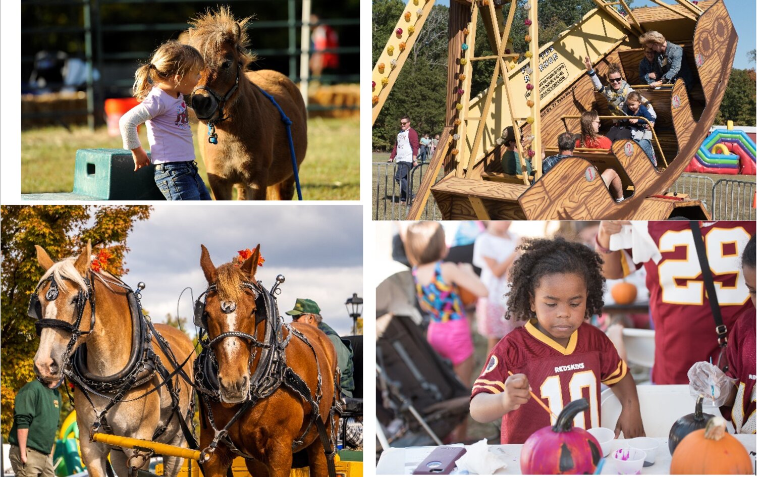 Children enjoy animals, rides and pumpkin-painting at The Youth For Tomorrow Country Fair.