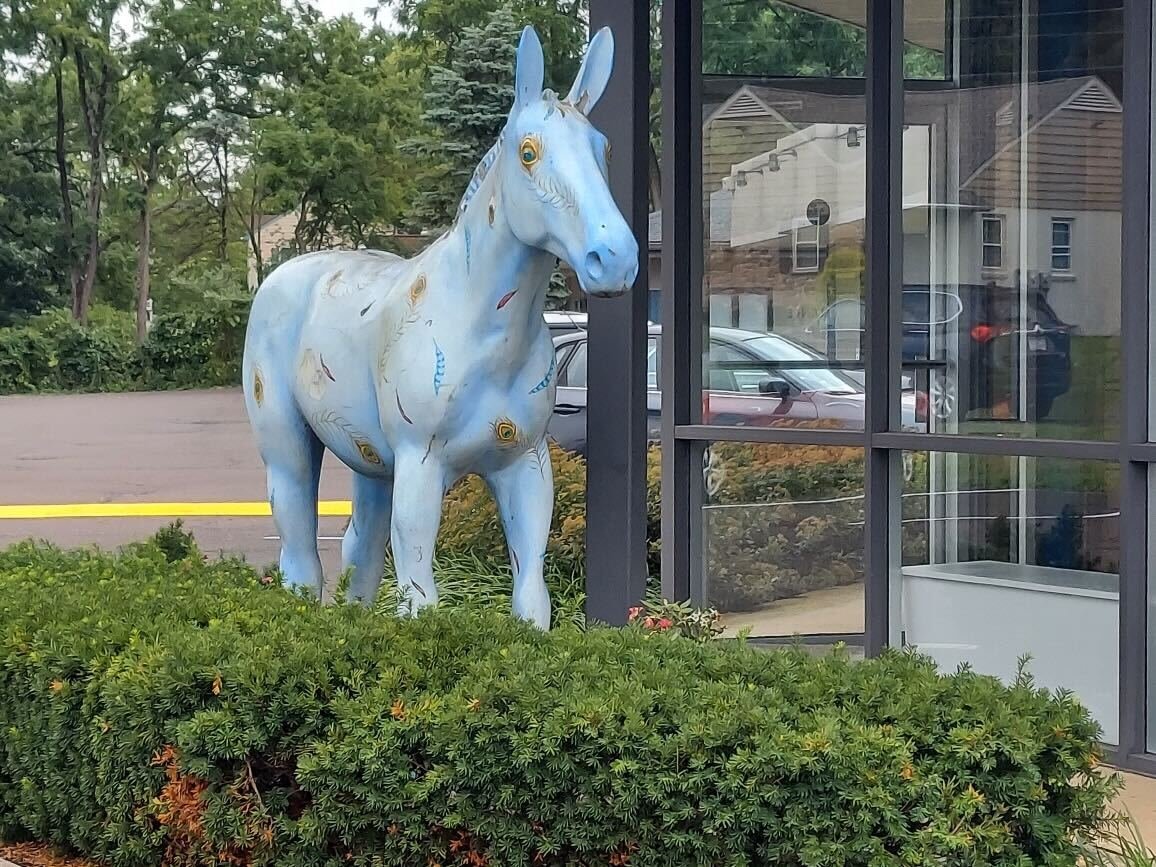Mulefeathers, the Delaware Canal mule who stood at the Herald’s entrance for 15 years is standing guard at a new location.