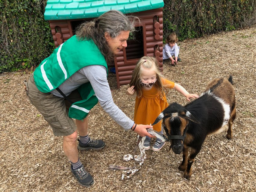 Philly Goat Project Founder and Director Karen Krivit and Clementine the goat bond with Arden Monaghan, 3, of Lafayette Hill during a visit at the Presbyterian Church of Chestnut Hill Preschool Program last week.