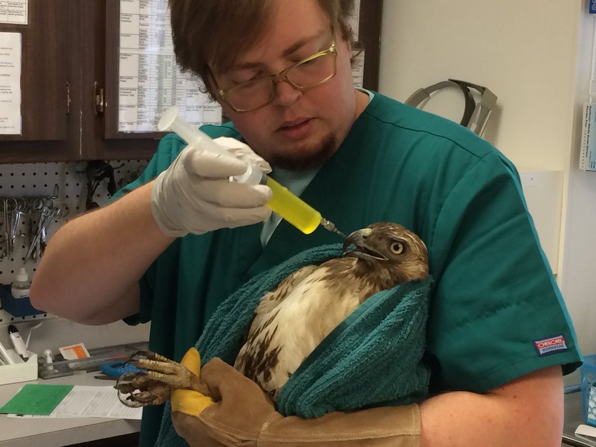 Schuylkill Wildlife Center has the only wildlife clinic in the city of Philadelphia.