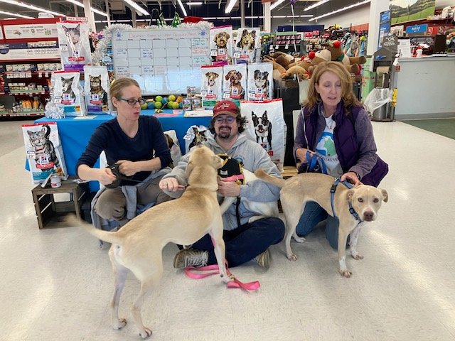 Spay and Save's Adoption Day crew &mdash; (from left) foster mom Merritt Hansen, foster dad Joe Schlosser and foster mom Paula Wenke &mdash; at the group's adoption event at Bone Appetite in Chestnut Hill on Jan. 21.