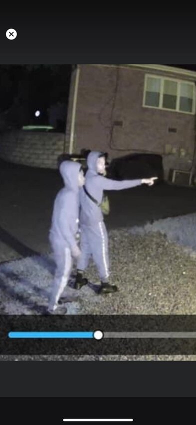 Screenshot of surveillance footage posted to Facebook by the Springfield Township Police Department shows two men in their late teens or early 20s entering yards on Patton Road in Springfield Township.