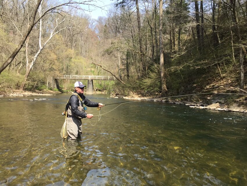 Mike Moran, manager for Orvis in Plymouth Meeting, casts his line in the waters of Valley Creek.