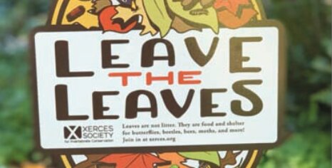 Xerces Society offers &ldquo;Leave the Leaves&rdquo; signs to promote habitat protection.