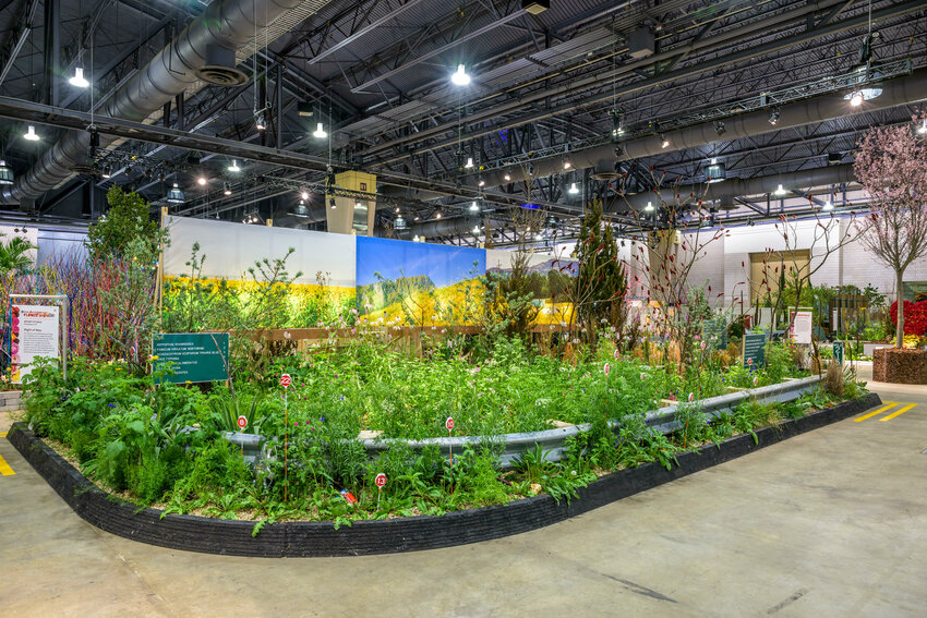 Apiary Studio, a landscape architecture and design firm based in Germantown, was among the award winners at the Philadelphia Flower Show. It won a gold medal for its &ldquo;Right of Way&rdquo; exhibit.