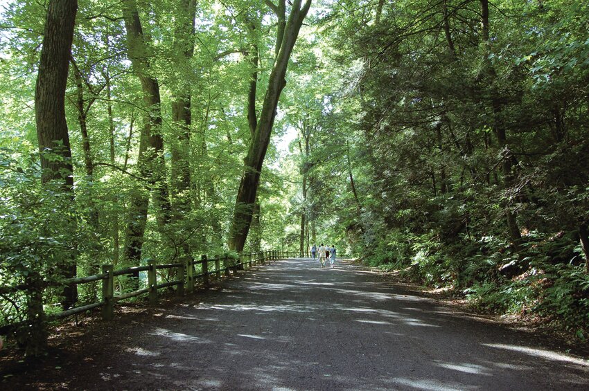 Forbidden Drive, the inviting pedestrian pathway that follows the creek along the bottom of the gorge, was closed to cars in the early 20th century.