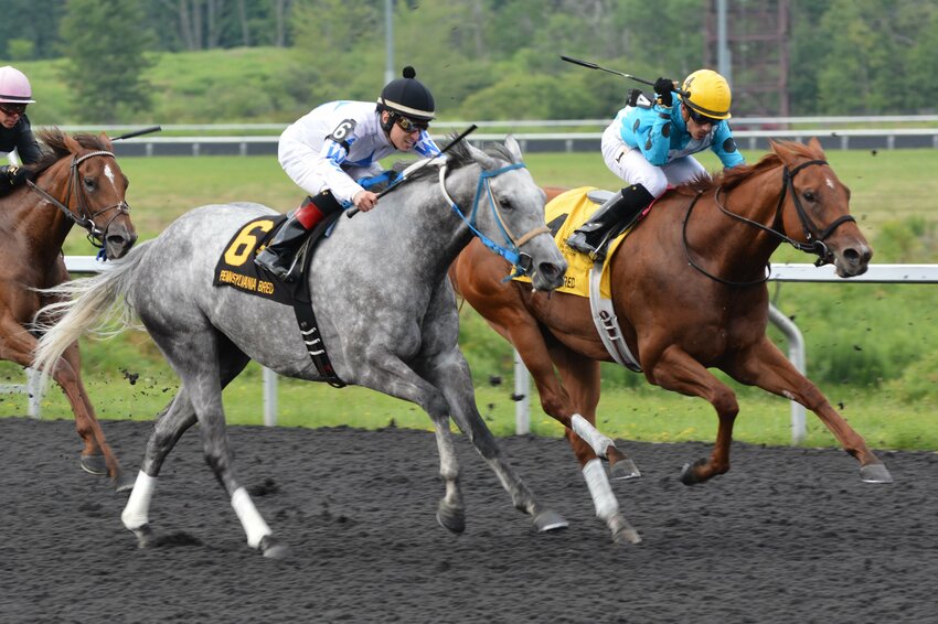 Jockey Josean Ramirez wore No. 6 silks in his last race, in October of 2016.