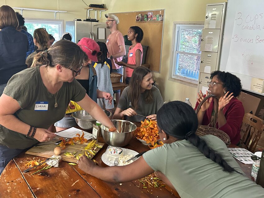 Awbury Arboretum&rsquo;s Wild Wisdom course teaches participants how to use the  wild plants that are native to the region for edible and medicinal purposes.