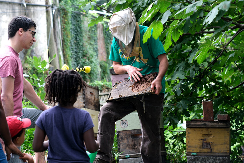 Beekeeper Jeff Eckel demonstrates the workings of an &ldquo;open hive&rdquo; at Wyck's annual Honey Festival.