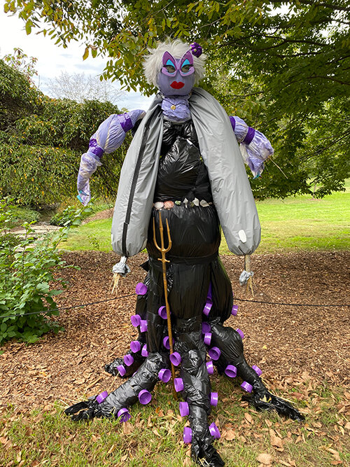 Ursula on land at the Morris Arboretum