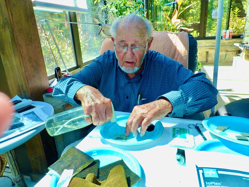 Chestnut Hill scientist Sol Rosenblatt, 95, is still inventing antimicrobial products.